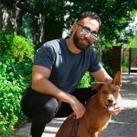 William Perez's profile picture