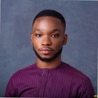 Tobi Bello's profile picture