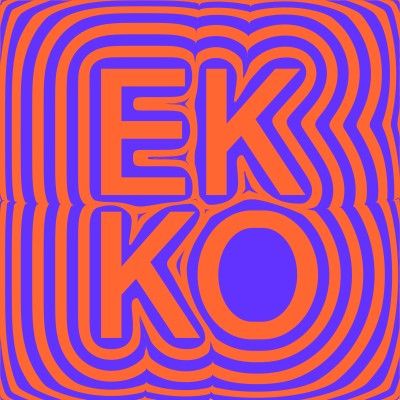 Rik de Graaf - Coördinator Bedrijfsvoering at EKKO | The Org