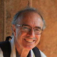 Armando D'Amico's profile picture