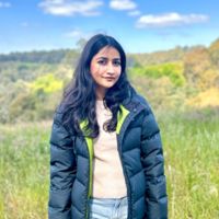 Jaweria Palijo's profile picture