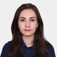 Sima Ashayer's profile picture