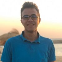 Mostafa Darwesh's profile picture