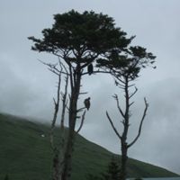 Kilian Roberts' profile picture