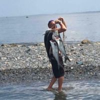 Kurt Walter's profile picture