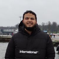 Ahmed H. El-Najjar's profile picture