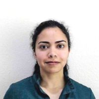 Prakriti Chintalapoodi's profile picture