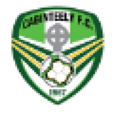 Cabinteely Football Club Org Chart, Teams, Culture & Jobs The Org
