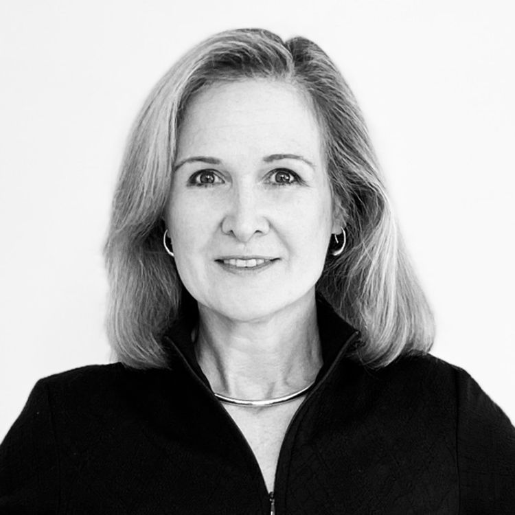 Amy Villeneuve Board Director at RLP, Rapid Liquid Print The Org