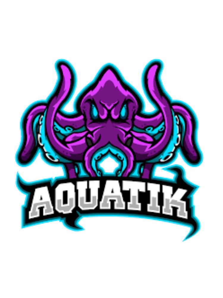 Aquatik Esports hires Rob Borm as VP, Sales and Sponsorships