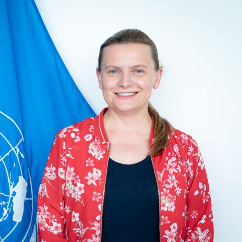 Lidiya Grigoreva - Chief, Political Affairs & Partnerships Section at ...