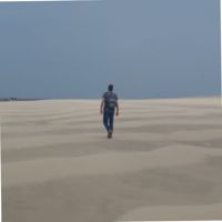 Ben Pronk's profile picture