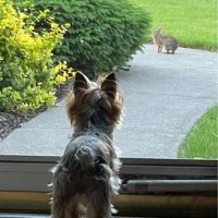 Casey Kehnast's profile picture