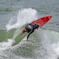 Gary Ludwig's profile picture