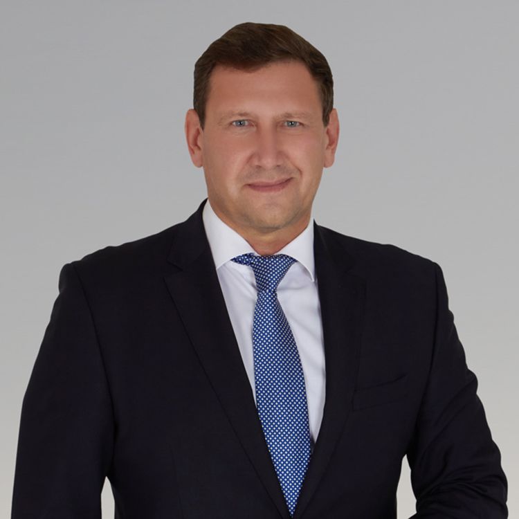 Konstantin Savinov Council Member at Greif The Org