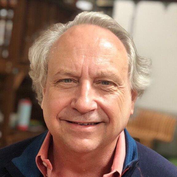 Rodney Brooks Founder & CTO at Robust.AI The Org