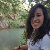 Shaked Shani's profile picture