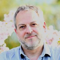 Stefan Schoenfelder's profile picture