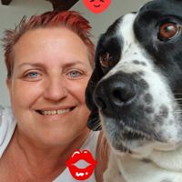 Susanne Liedtke's profile picture