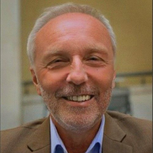 Carl Beardmore CEO at Aurous Risk Partners The Org