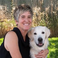 Kelly Bell's profile picture
