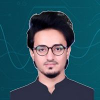 Hamza Zeb's profile picture