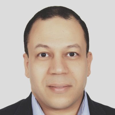 Mohamed Mansour - VP of Technology at IM Holding, Inc. | The Org