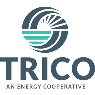 Sabrina English - Information Systems Specialist at Trico Electric ...
