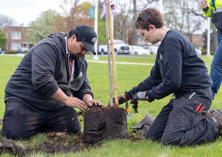 Behind the scenes at Parks Development and Facilities Team, photo 2