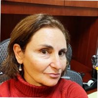 Rachel Wolf's profile picture