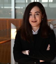 Shiva Nejati's profile picture