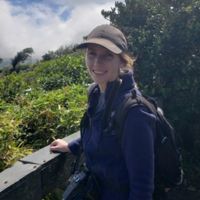 Allison Hicks' profile picture