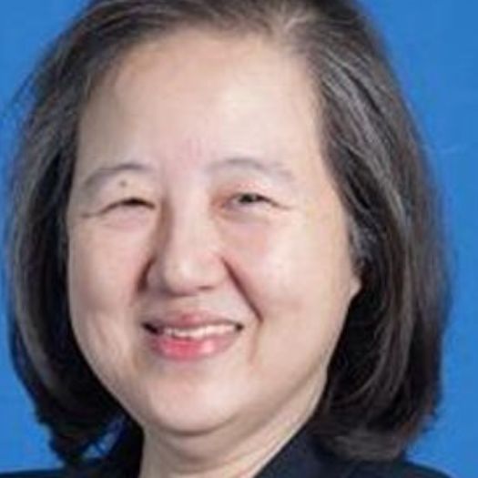 Vivian Que-Azcona - CEO at Mercury Drug Corporation | The Org